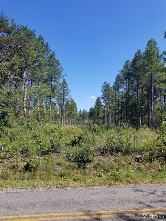 17794 Tyler Station Road Beaverdam, VA 23015 - Photo 3 of 8 a view of a forest filled with trees