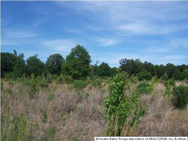 38876 A Reinninger Road Denham Springs, LA 70706 - Photo 3 of 9