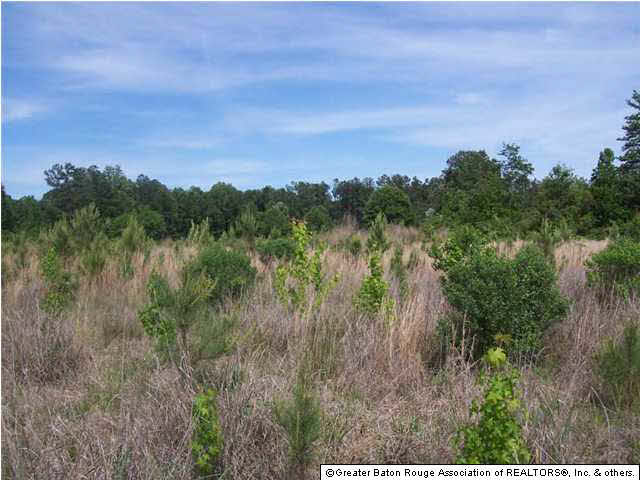 38876 A Reinninger Road Denham Springs, LA 70706 - Photo 5 of 9