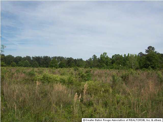 38876 A Reinninger Road Denham Springs, LA 70706 - Photo 8 of 9