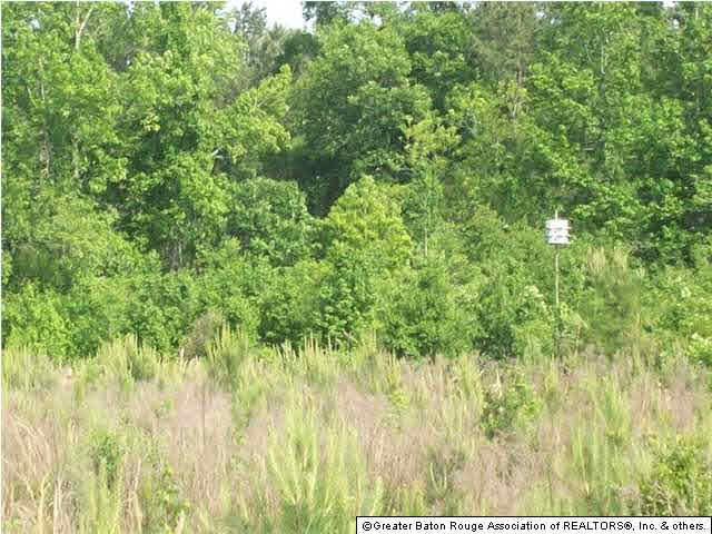 38876 A Reinninger Road Denham Springs, LA 70706 - Photo 9 of 9