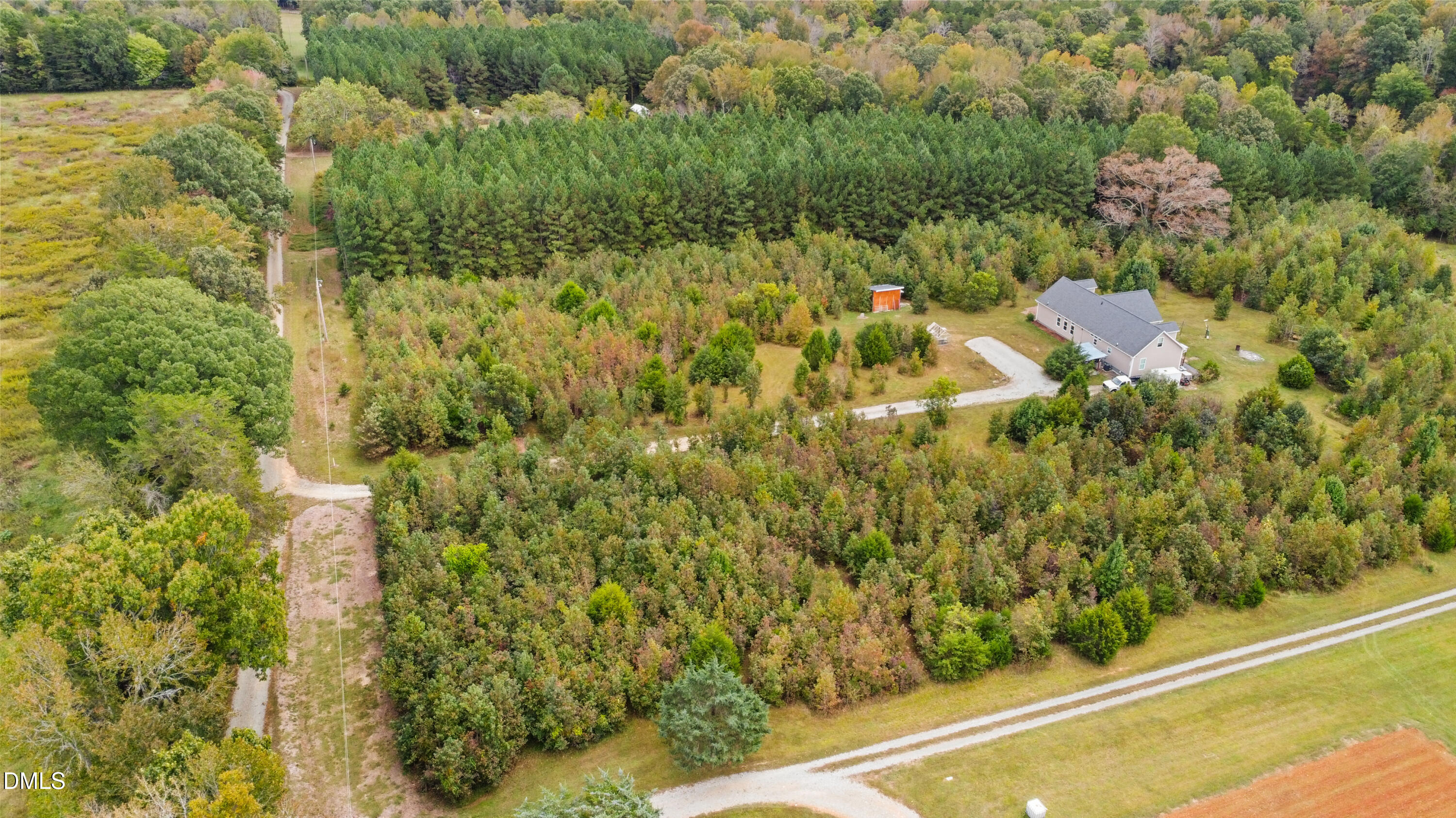 6764 Bradshaw Farm Road Efland, NC 27243 - Photo 40 of 56 a view of a yard with plants and large trees