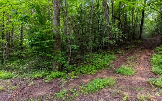 Price Road Blue Ridge, GA 30513 - Photo 38 of 43 Additional View