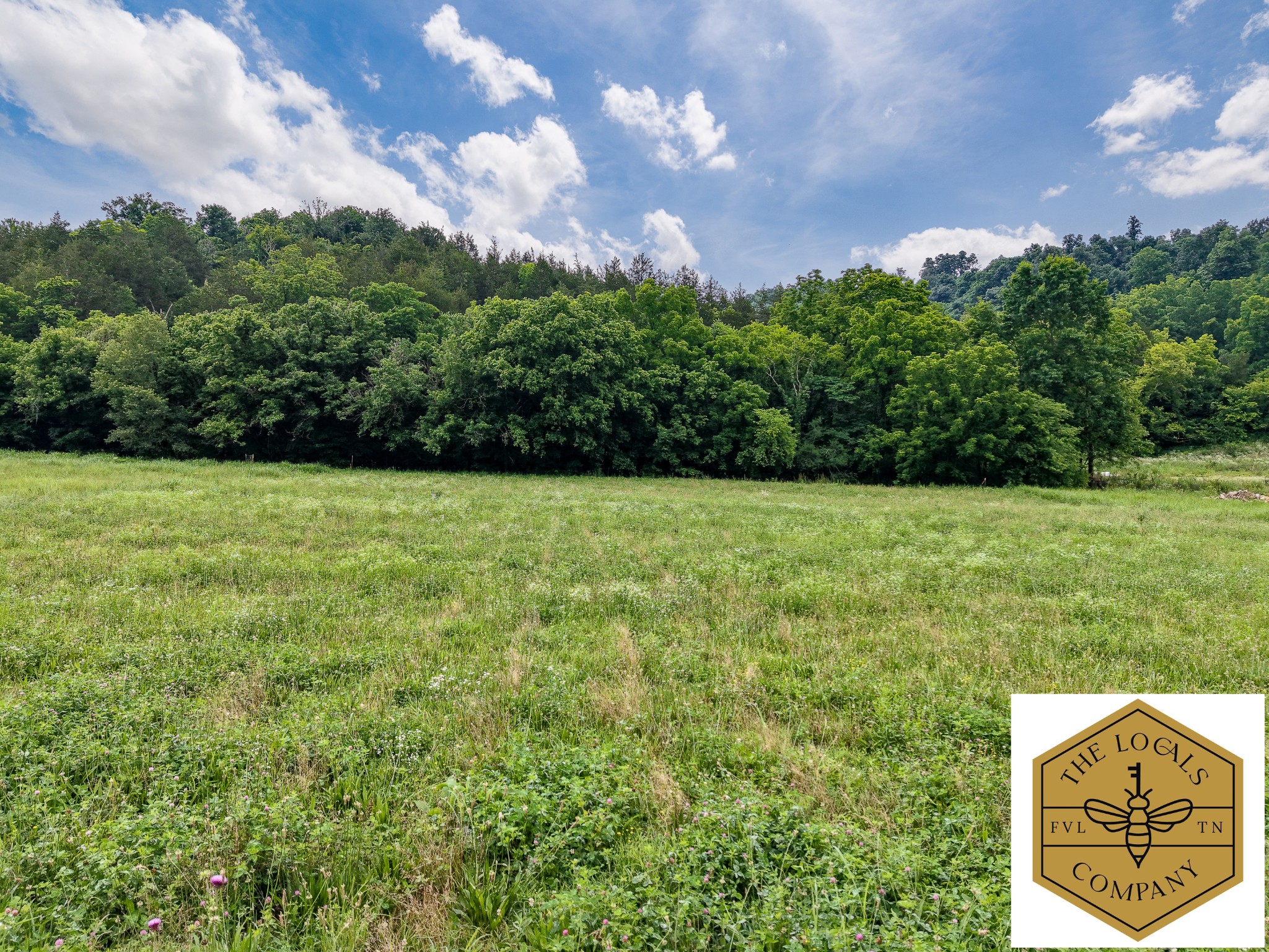 386 Cathcart Road Frankewing, TN 38459 - Photo 2 of 15