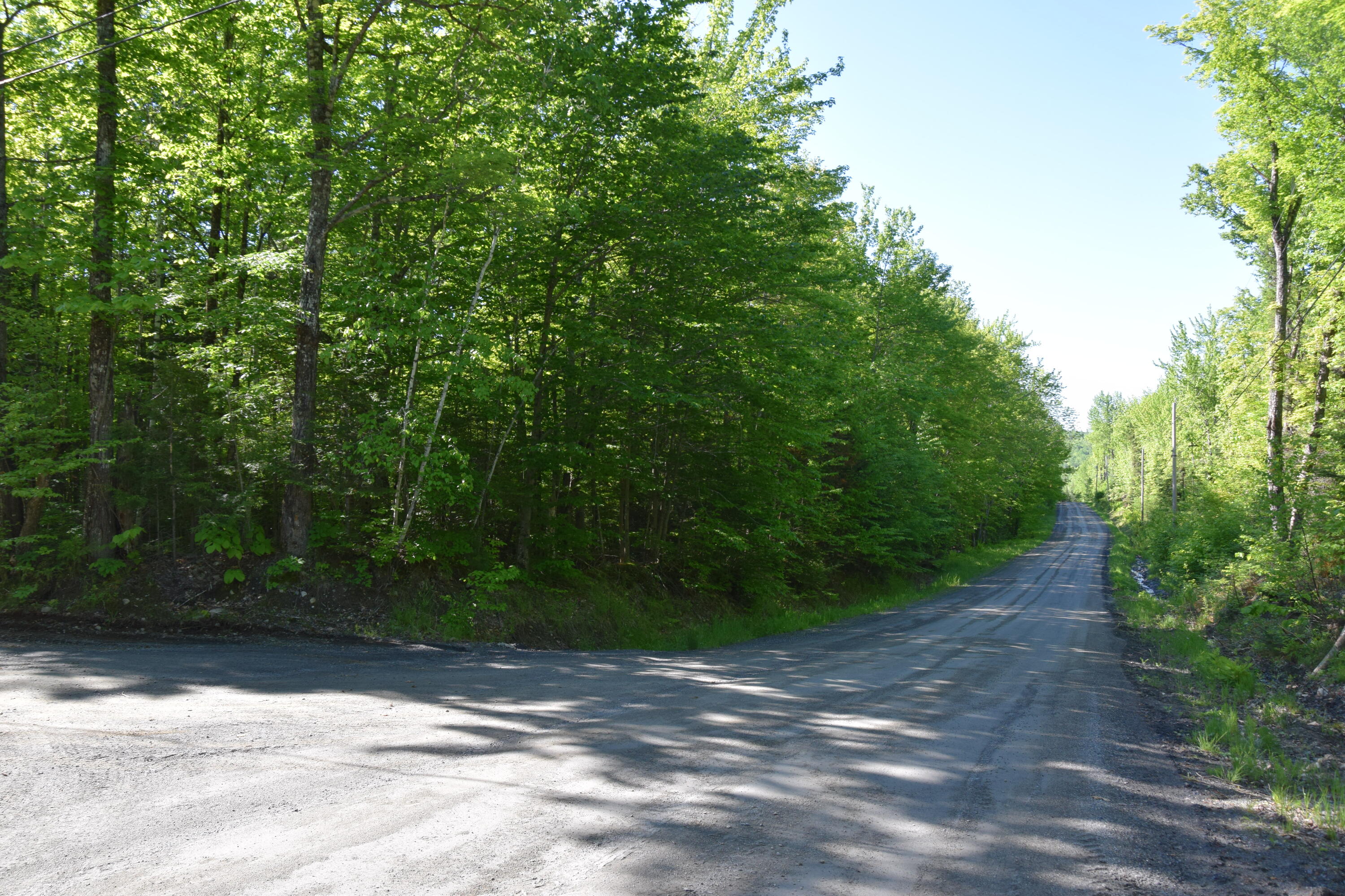 M10-l6-1 Hancock Pond Road New Portland, ME 04961 - Photo 3 of 30 DSC_0008