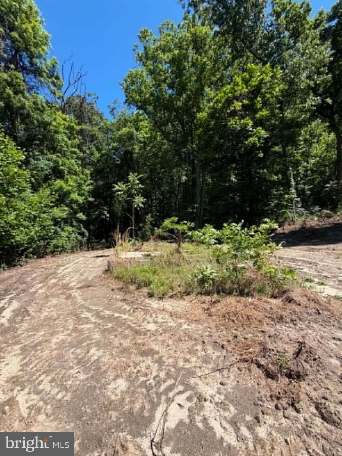 51 Cabin Road Augusta, WV 26704 - Photo 17 of 19
