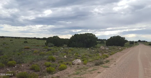 $15,947 | 44 County Road, St. Johns, AZ 85936