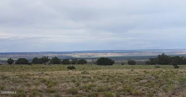 $15,947 | 44 County Road, St. Johns, AZ 85936