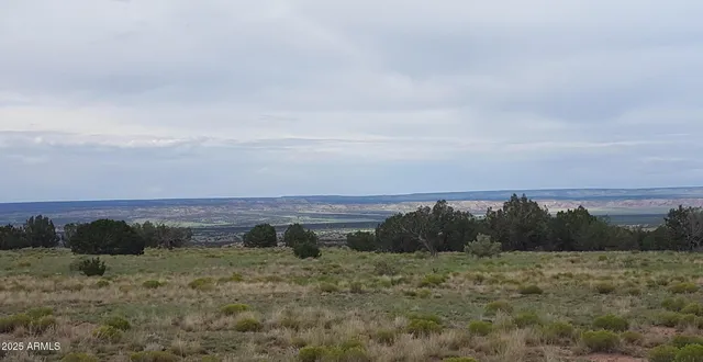 $15,947 | 44 County Road, St. Johns, AZ 85936