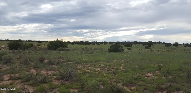 $15,947 | 44 County Road, St. Johns, AZ 85936