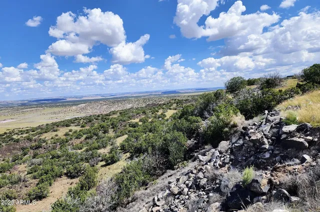 $15,947 | 44 County Road, St. Johns, AZ 85936