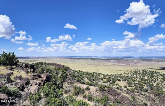 $15,947 | 44 County Road, St. Johns, AZ 85936