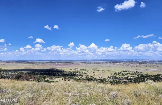 $15,947 | 44 County Road, St. Johns, AZ 85936