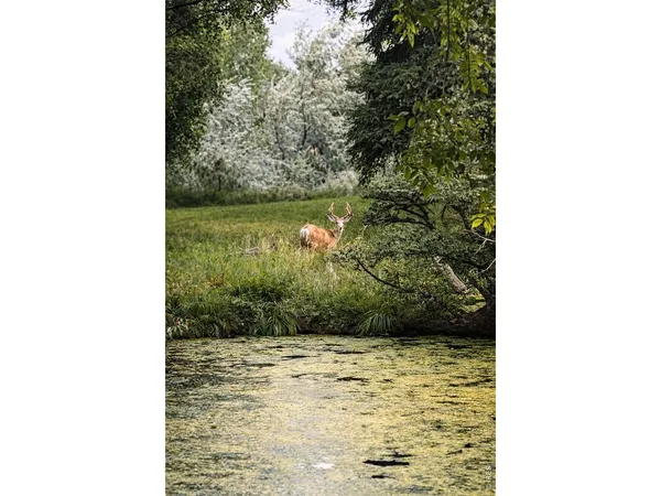 $500,000 | 1901 Waters Edge Street, Unit E, Fort Collins, CO 80526