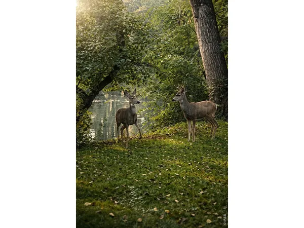 $500,000 | 1901 Waters Edge Street, Unit E, Fort Collins, CO 80526