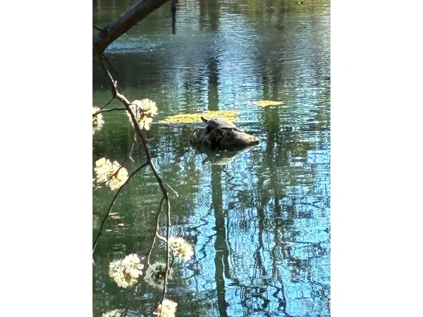 $500,000 | 1901 Waters Edge Street, Unit E, Fort Collins, CO 80526