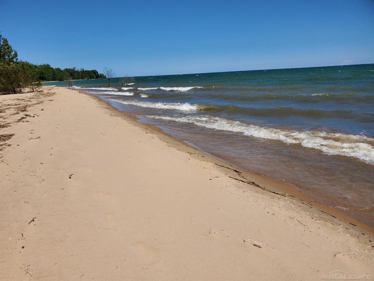 Tbd Lakeshore Road Palms, MI 48465 - Photo 3 of 3