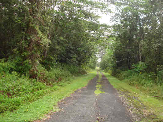 683 Hilo Road Pahoa, HI 96778 - Photo 3 of 3 Gallery Image 3