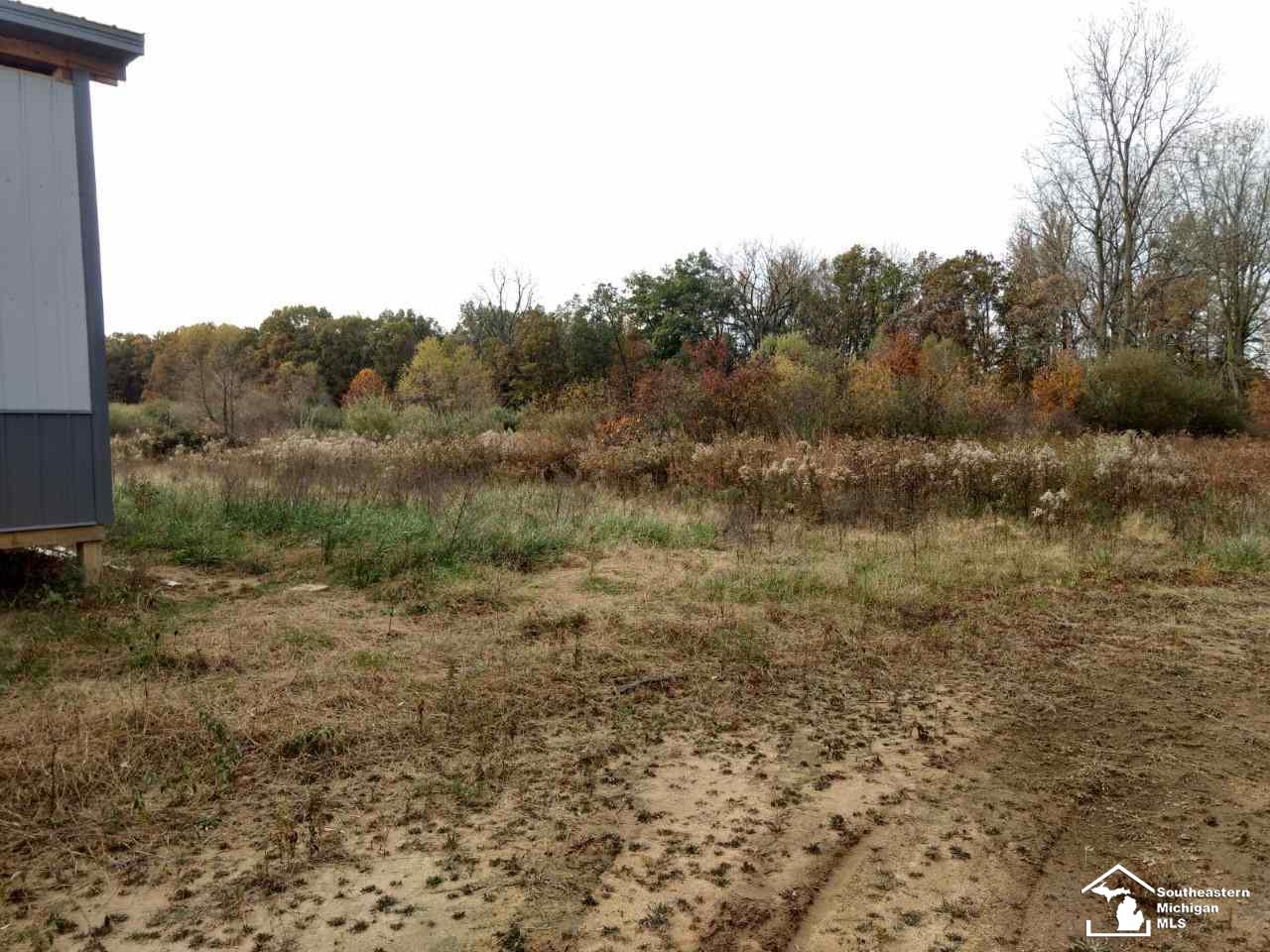 5400 Wells Road Petersburg, MI 49270 - Photo 9 of 11