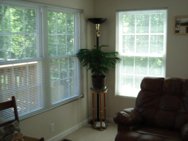 5869 Buckland Mill Road Roanoke, VA 24019 - Photo 12 of 22 sun room