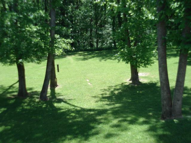 5869 Buckland Mill Road Roanoke, VA 24019 - Photo 20 of 22 yard
