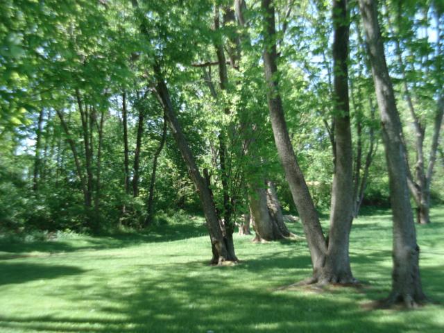 5869 Buckland Mill Road Roanoke, VA 24019 - Photo 21 of 22 yard