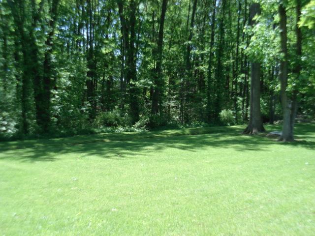 5869 Buckland Mill Road Roanoke, VA 24019 - Photo 22 of 22 yard