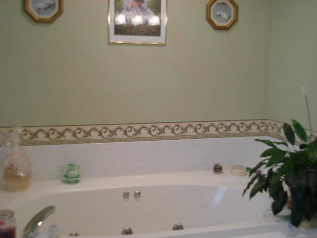 5869 Buckland Mill Road Roanoke, VA 24019 - Photo 7 of 22 master bath