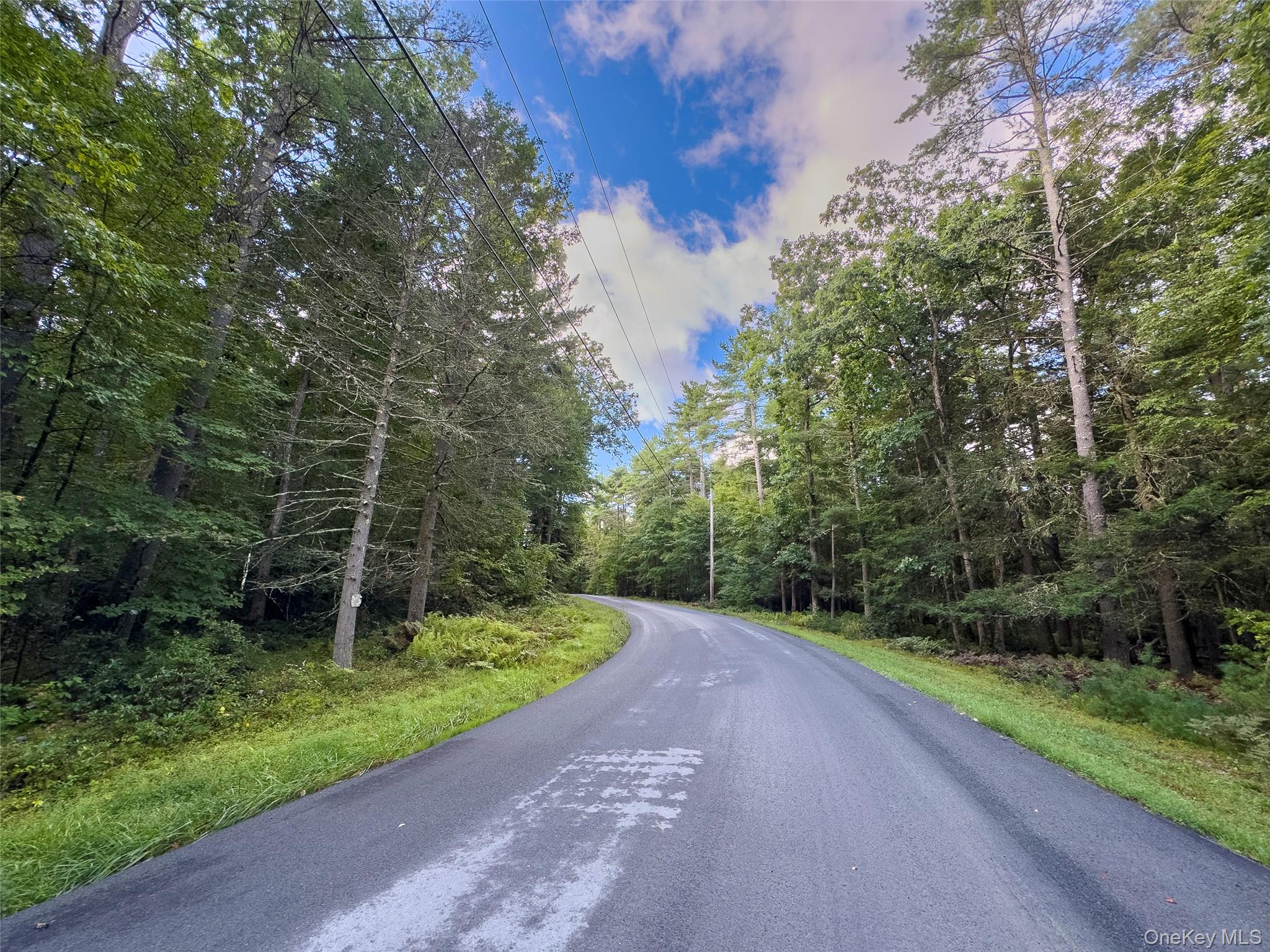 83 Perry Pond Road Narrowsburg, NY 12764 - Photo 11 of 14 Gallery Image 11