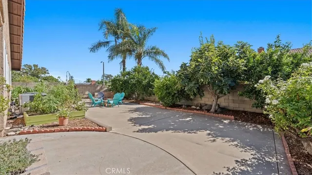 a row of palm trees with a yard