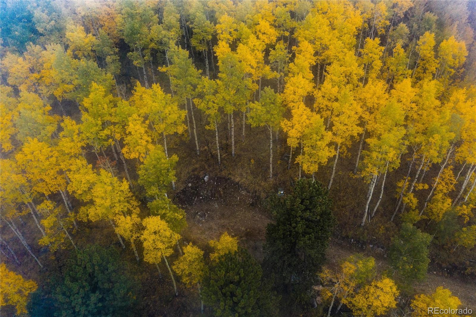 0 Robinson Hill Road Black Hawk, CO 80422 - Photo 37 of 38