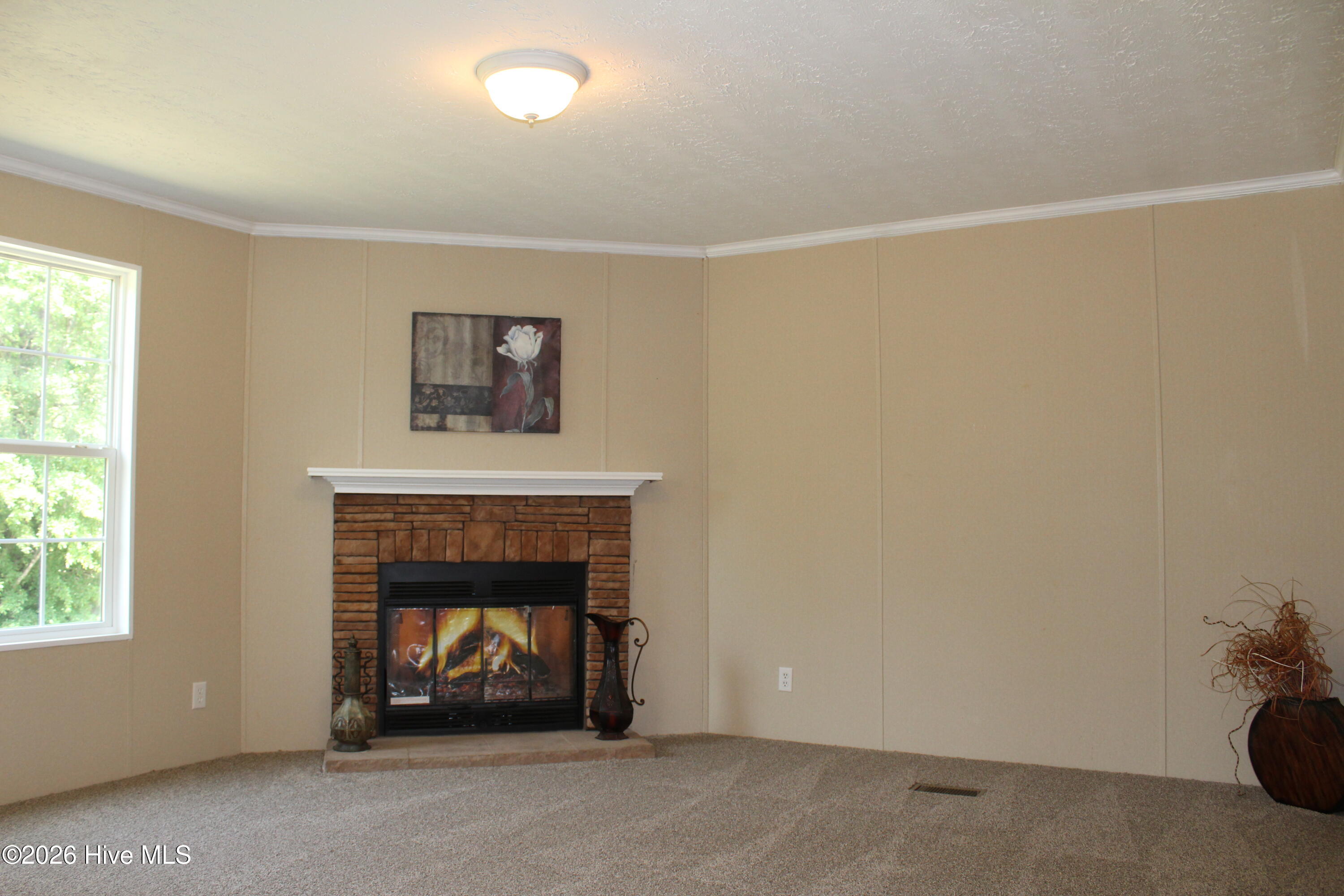 137 George Sumner Road Beulaville, NC 28518 - Photo 30 of 48 IMG_5532