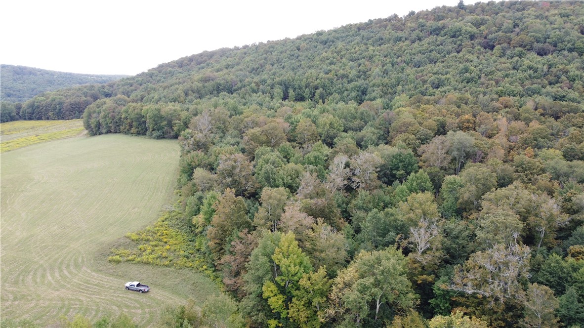 19.221 Turnpike Road Meredith, NY 13753 - Photo 3 of 13