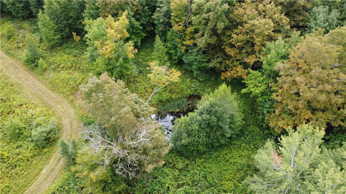 19.221 Turnpike Road Meredith, NY 13753 - Photo 4 of 13