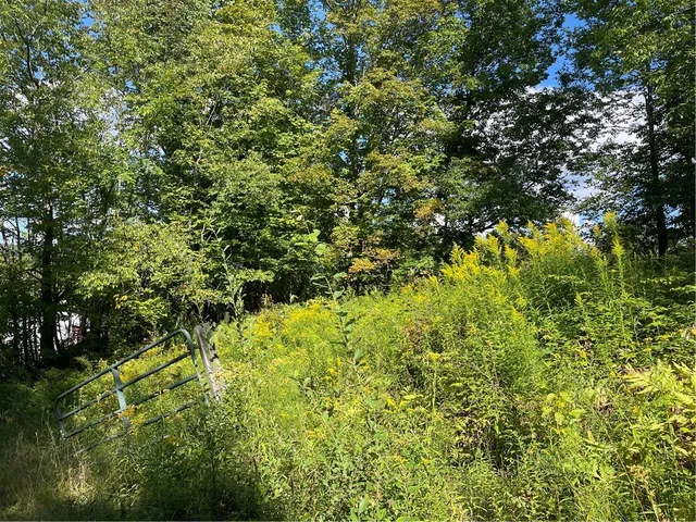 $225,000 | 19.221 Turnpike Road, Meredith, NY 13753