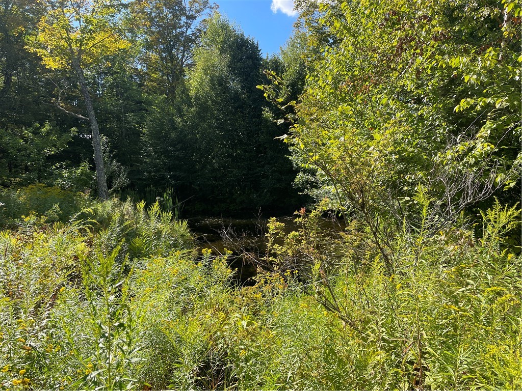 19.221 Turnpike Road Meredith, NY 13753 - Photo 7 of 13