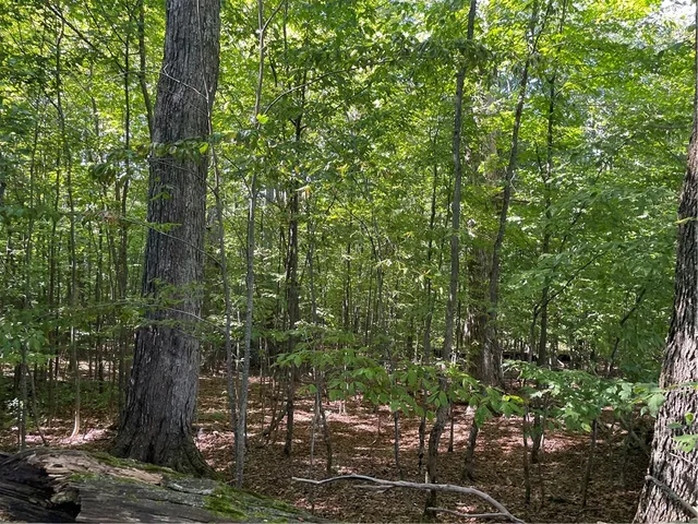 $225,000 | 19.221 Turnpike Road, Meredith, NY 13753