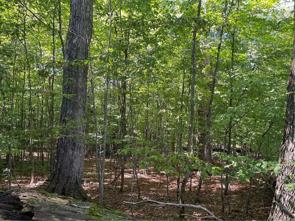 19.221 Turnpike Road Meredith, NY 13753 - Photo 9 of 13