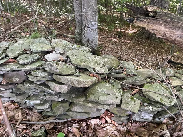 $225,000 | 19.221 Turnpike Road, Meredith, NY 13753