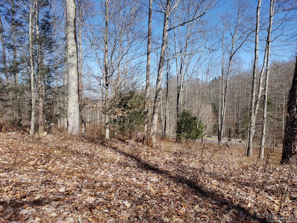 Lot 36 Pasture Road Maggie Valley, NC 28751 - Photo 1 of 1 Gallery Image 1