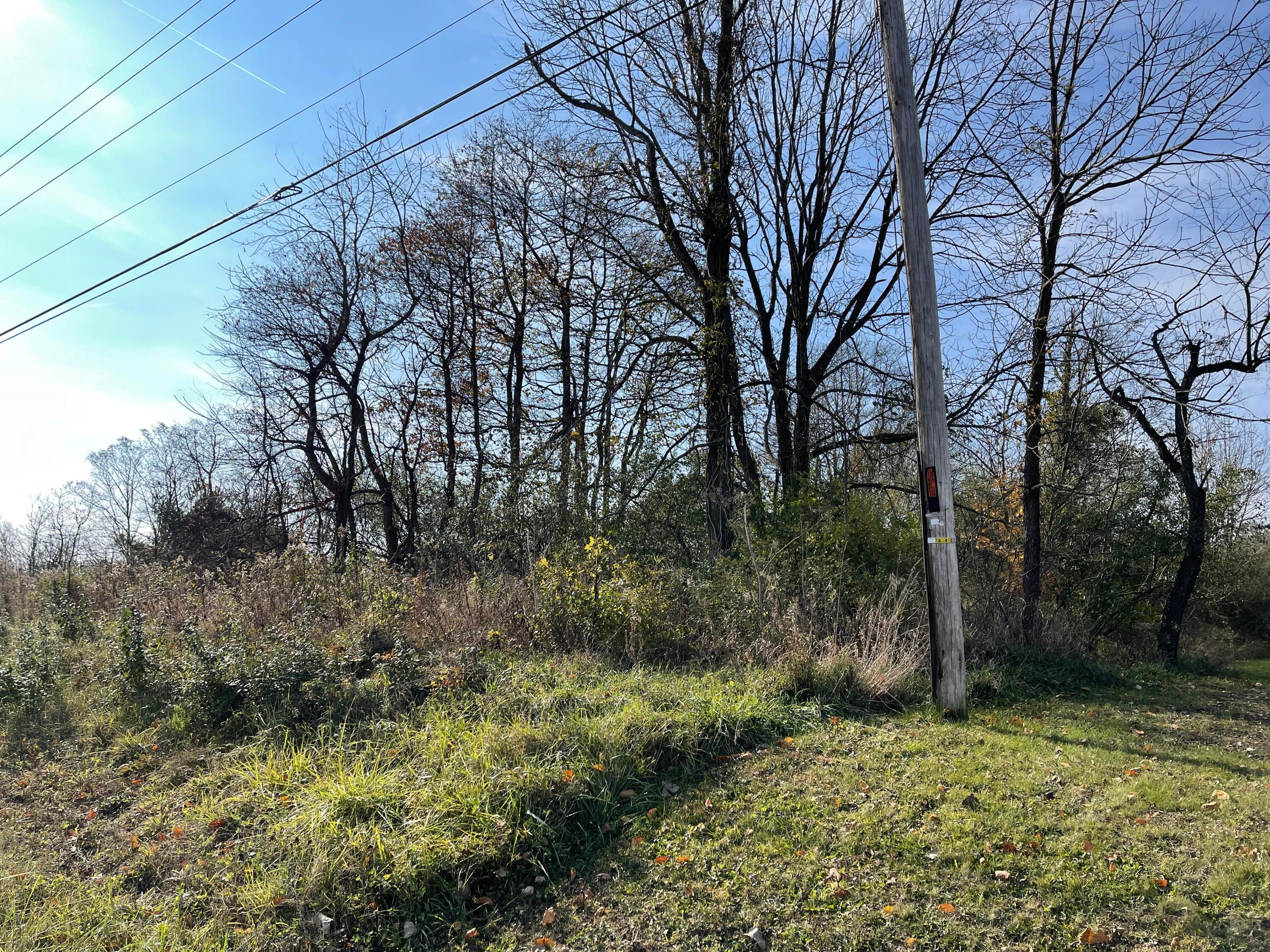 0 Magers Road, Unit LOT 39 GRE Howard, OH 43028 - Photo 3 of 4 4