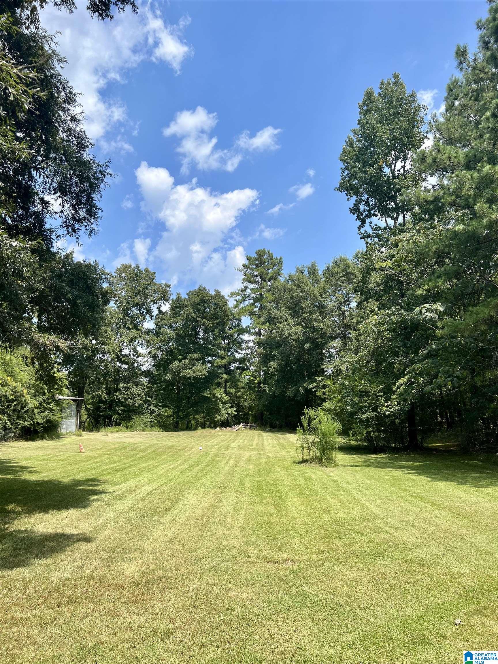 7650 Chelsea Road Columbiana, AL 35051 - Photo 11 of 47