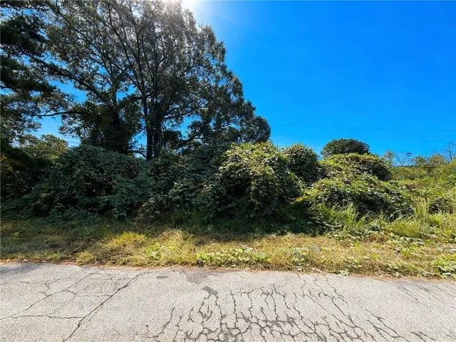 a view of a yard with plants and large trees