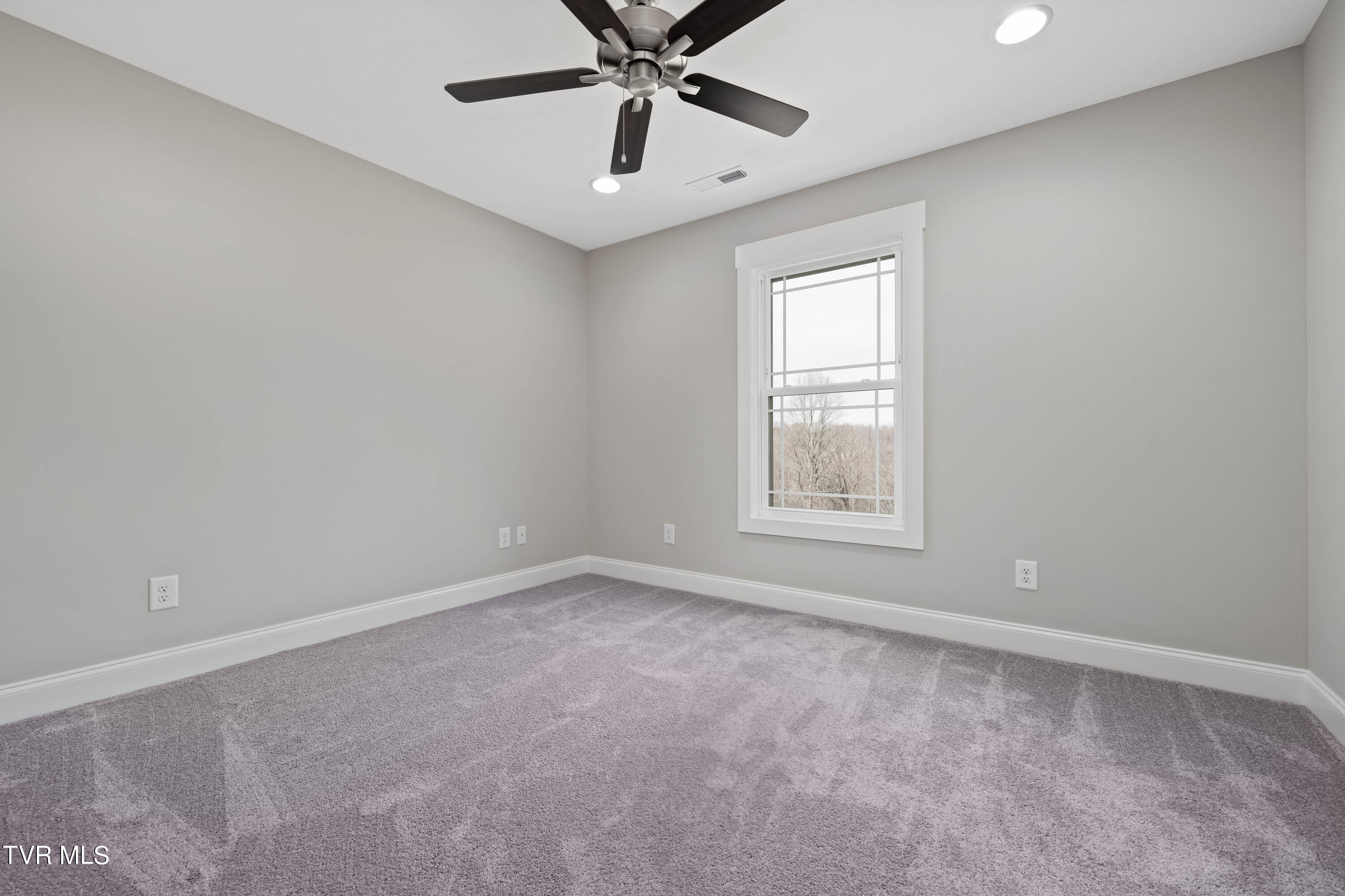 1073 Riddle Ridge Jonesborough, TN 37659 - Photo 30 of 41 1073 Riddle Rdg (35 of 40)