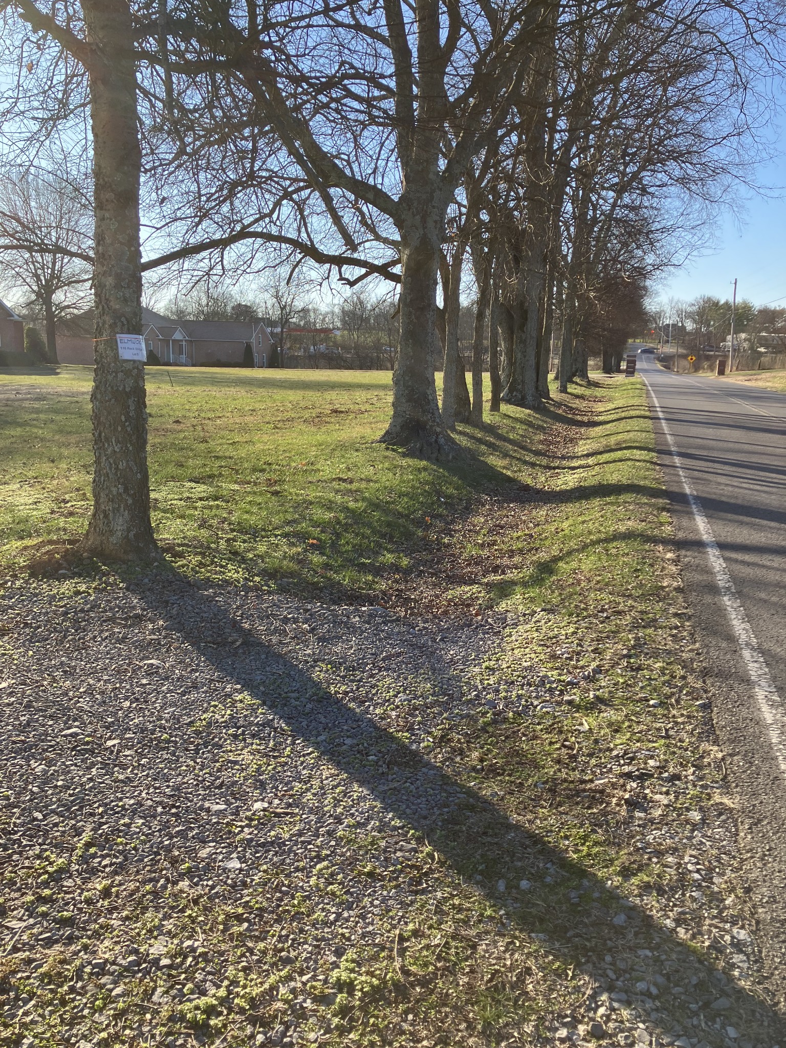 116 Rock Bridge Road Gallatin, TN 37066 - Photo 2 of 3 a view of road with large trees