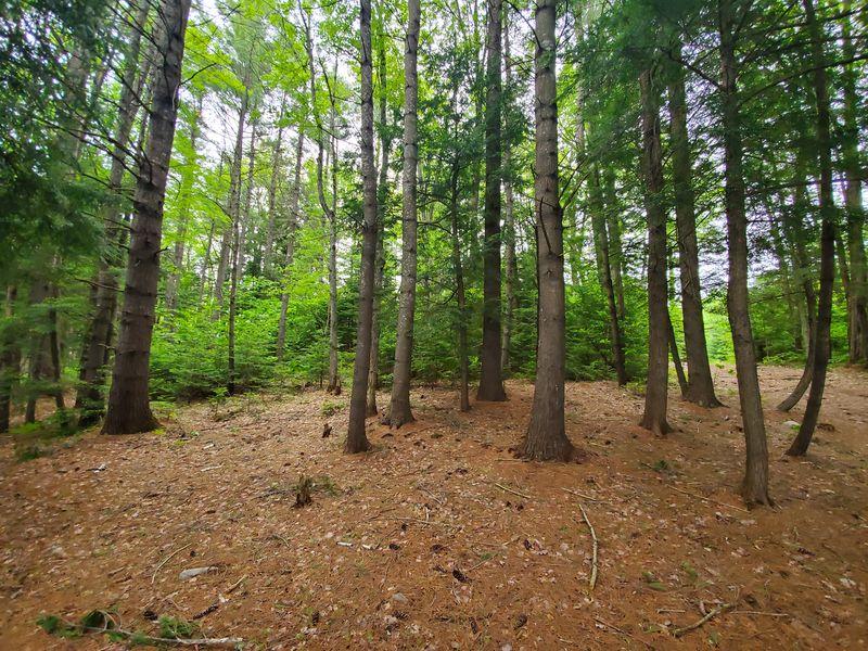 R7-l 4-6 North Pond Road Chesterville, ME 04938 - Photo 9 of 19 20190613_104519