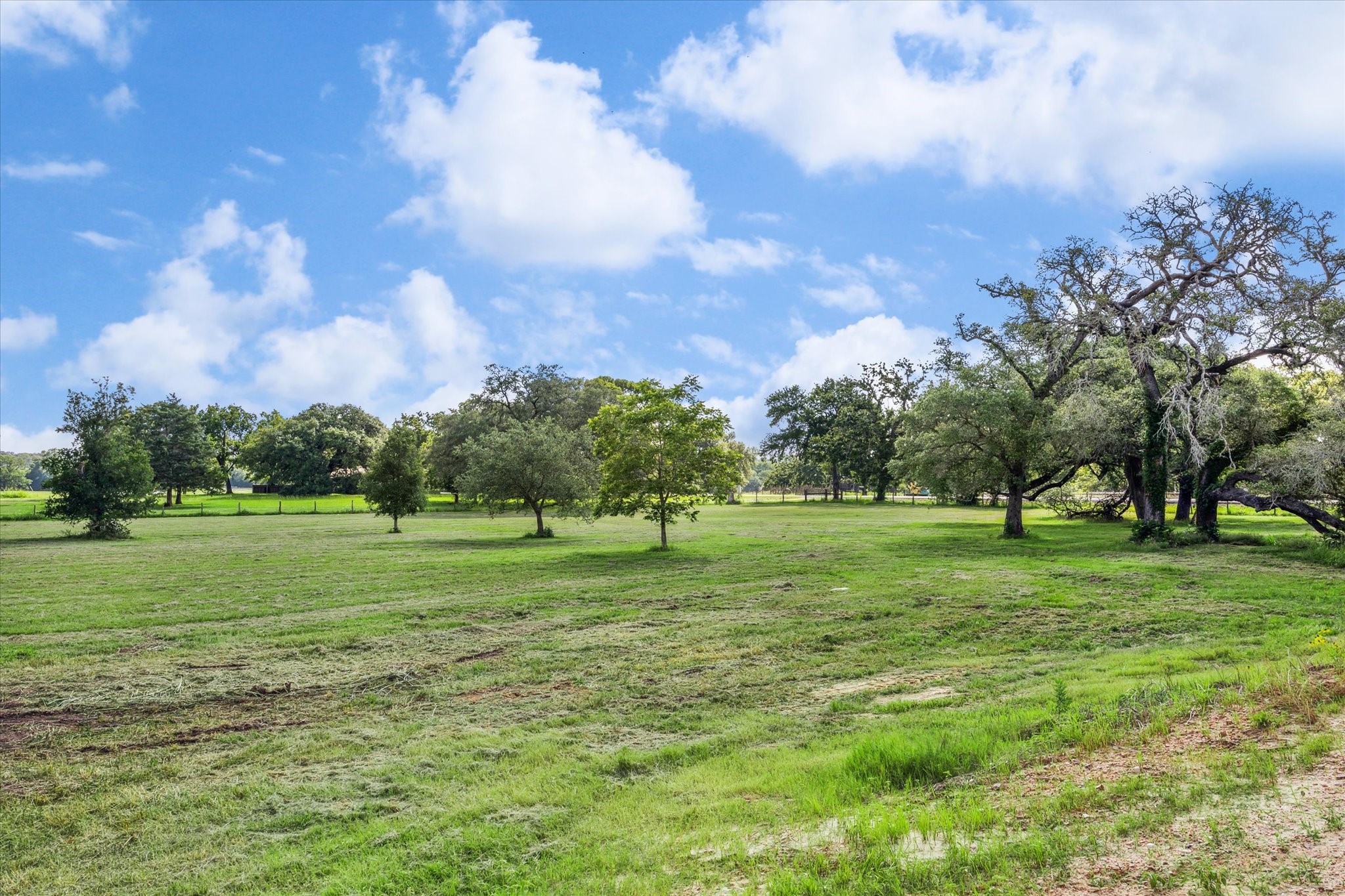 1286 Highway 237 Round Top, TX 78954 - Photo 24 of 24 Level ground for additional expansion. It is not in flood plain.