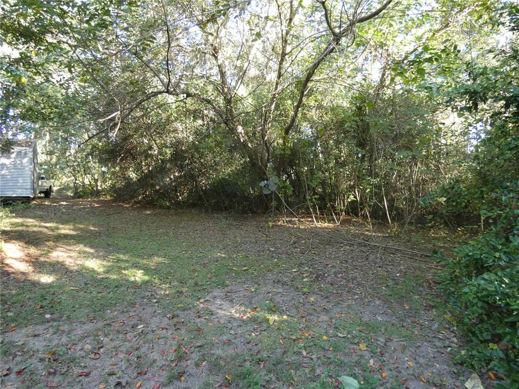 13701 Mockingbird Lane Citra, FL 32113 - Photo 6 of 10