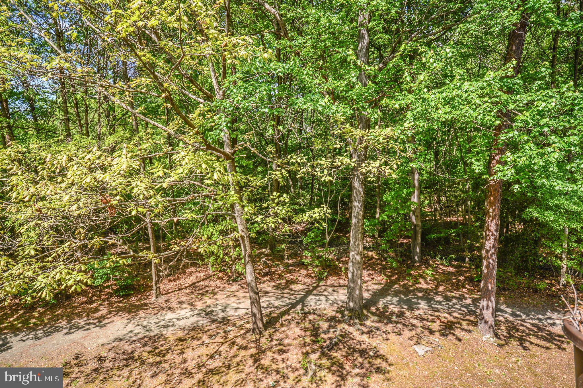 6242 Levi Court Springfield, VA 22150 - Photo 24 of 70