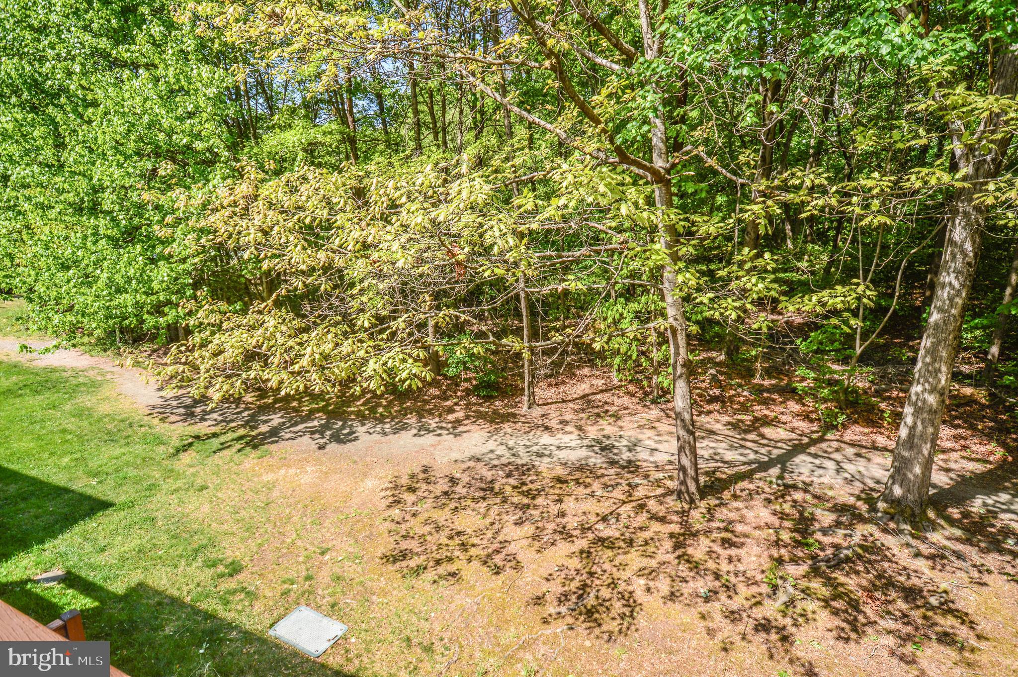 6242 Levi Court Springfield, VA 22150 - Photo 25 of 70